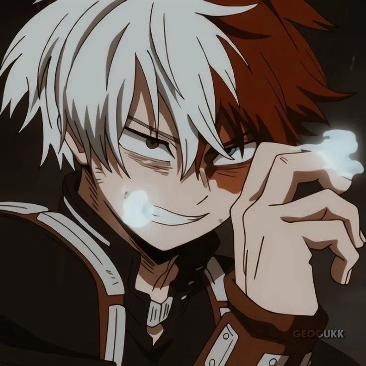 Avatar of Shoto apocalypse 