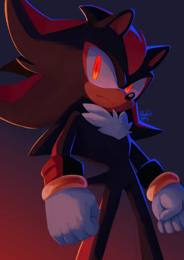 Avatar of 「Shadow The Hedgehog」