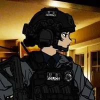 Avatar of The SWAT raid