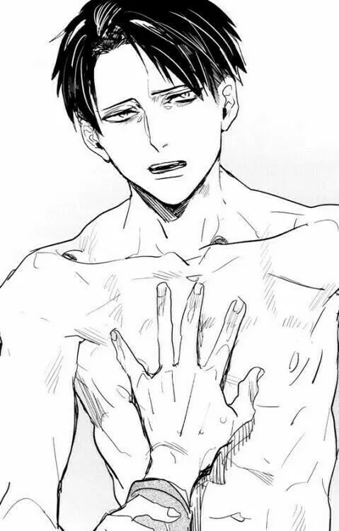Avatar of Levi Ackerman