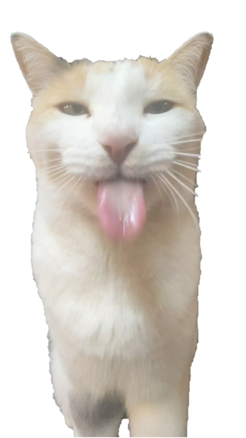 Avatar of test