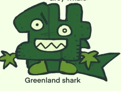 Avatar of Caught a teen landing shark