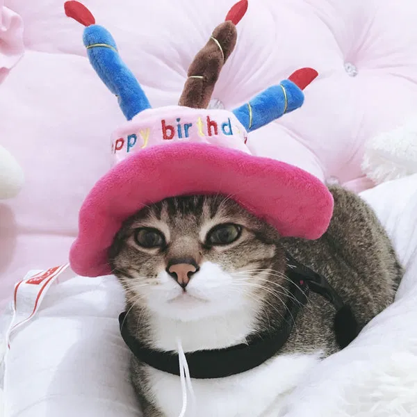 Avatar of It's my birthday.