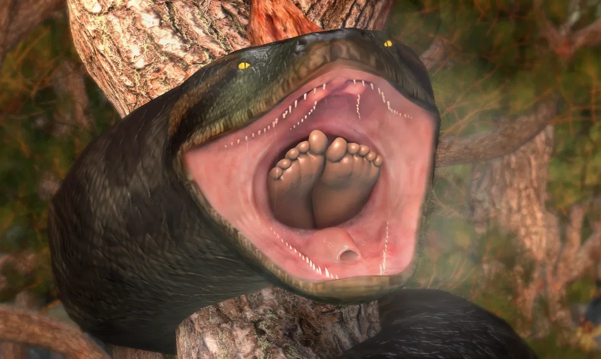 Avatar of Anaconda