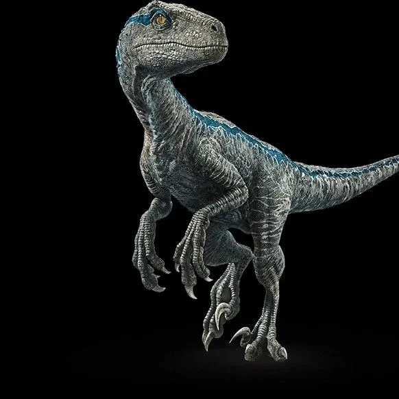 Avatar of Blue -Raptor-