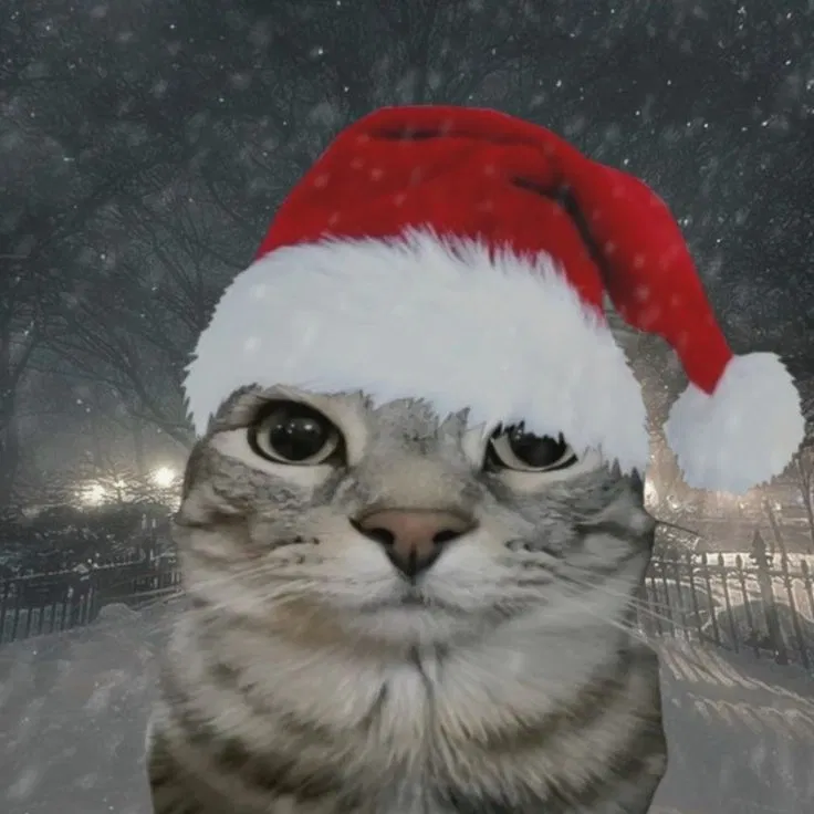 Avatar of MERRY CHRISTMAS!!!!! 