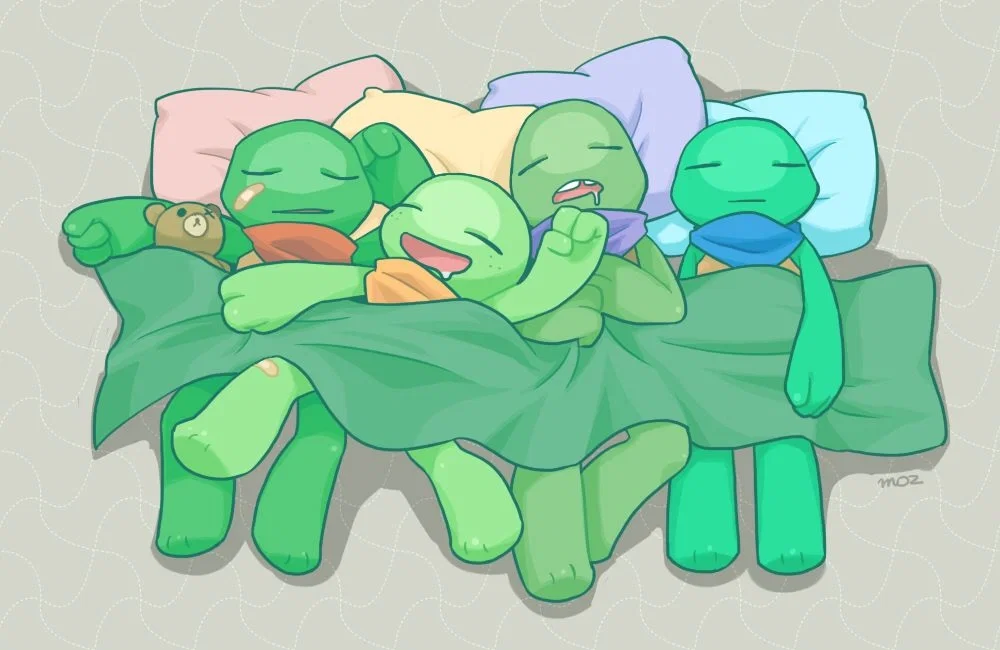 Avatar of Little TMNT