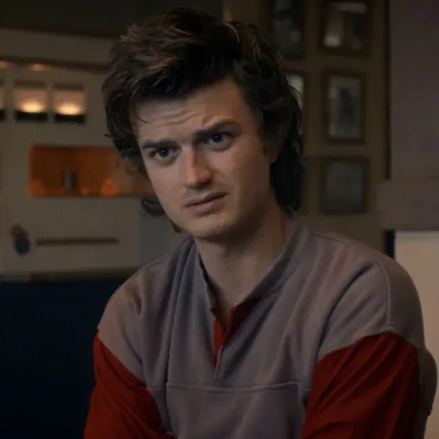 Avatar of Steve Harrington(french)