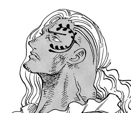 Avatar of 01 - Alber / King || One Piece 