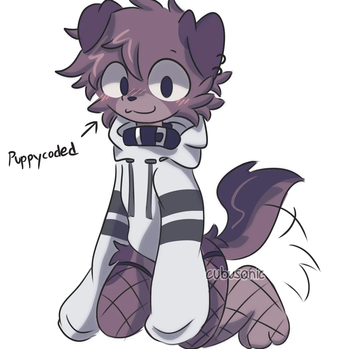 Avatar of Femboy Stole Hoodie