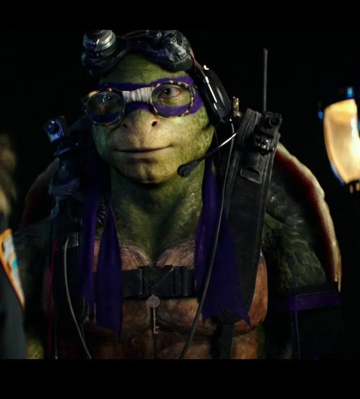 Avatar of BAYVERSE | Donatello