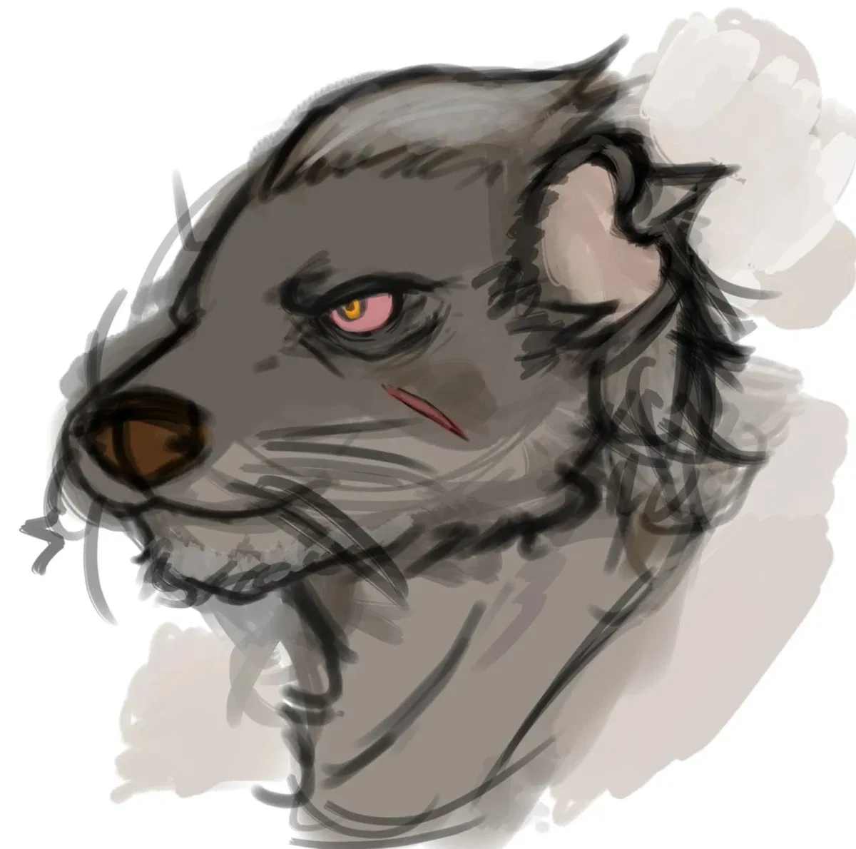 Avatar of Duke - Echo