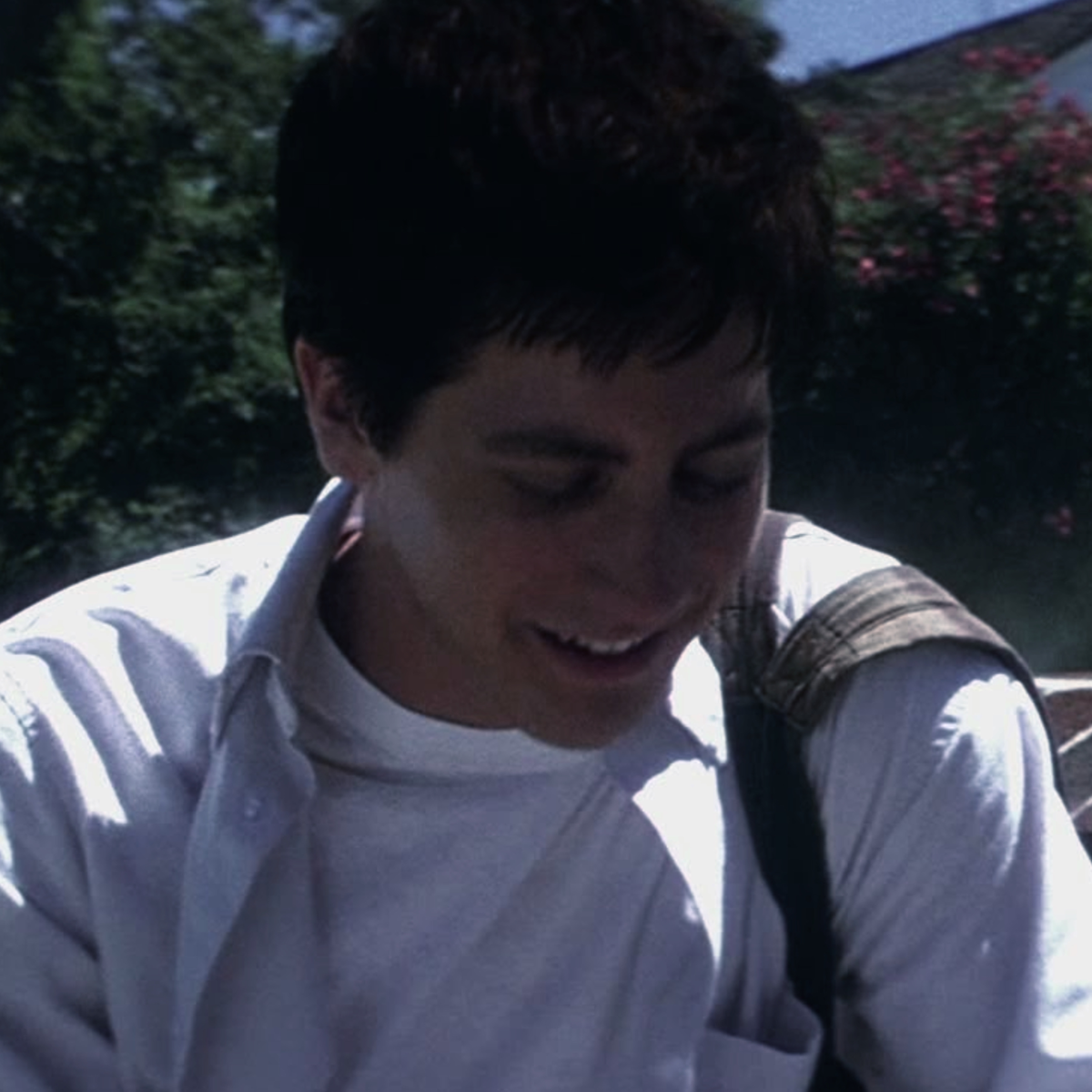 Avatar of Donnie Darko