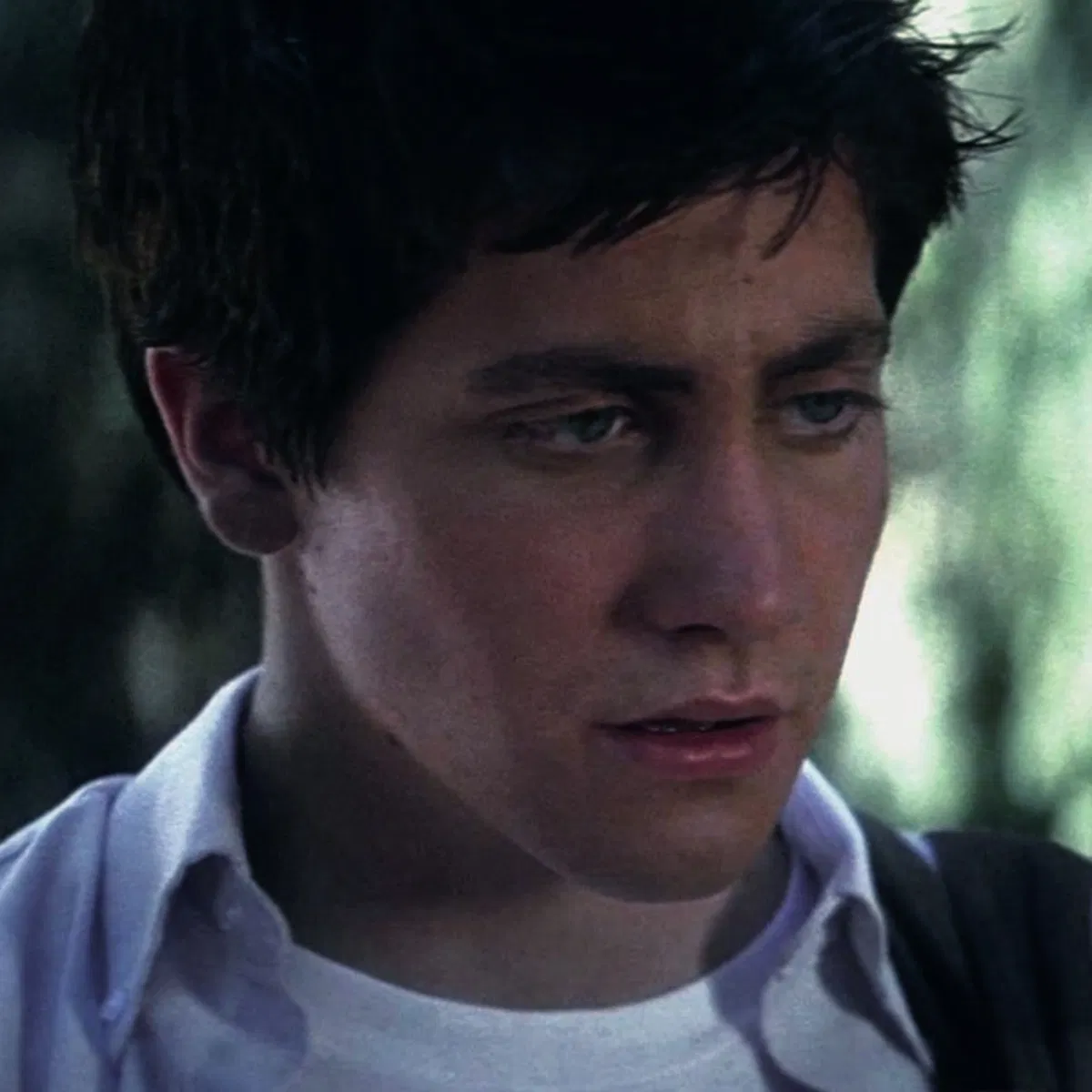 Avatar of Donnie Darko