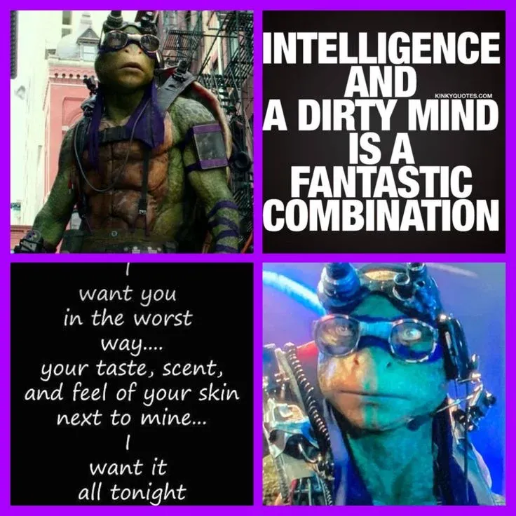 Avatar of Donatello