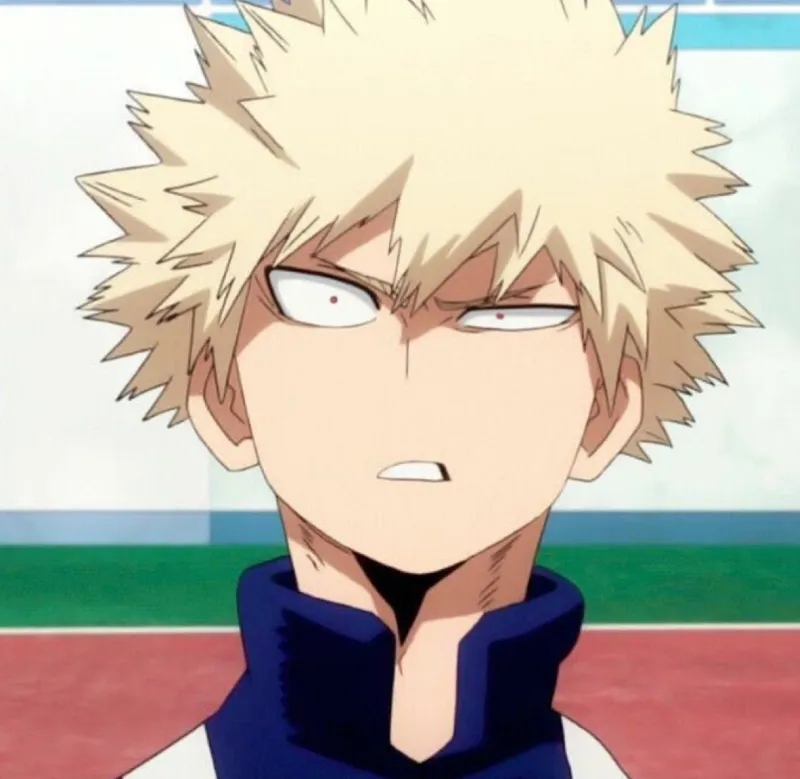 Character - Bakugou