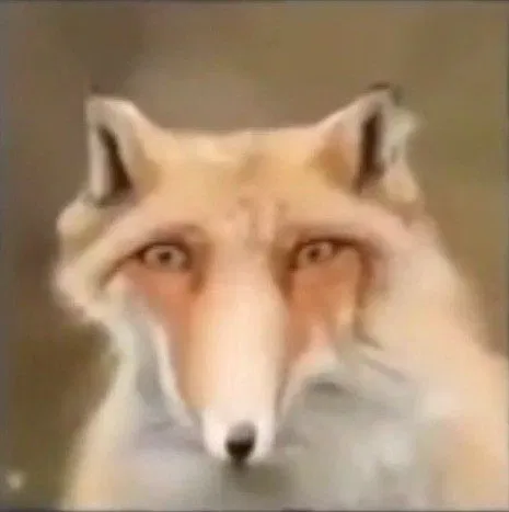 Avatar of Лисуху