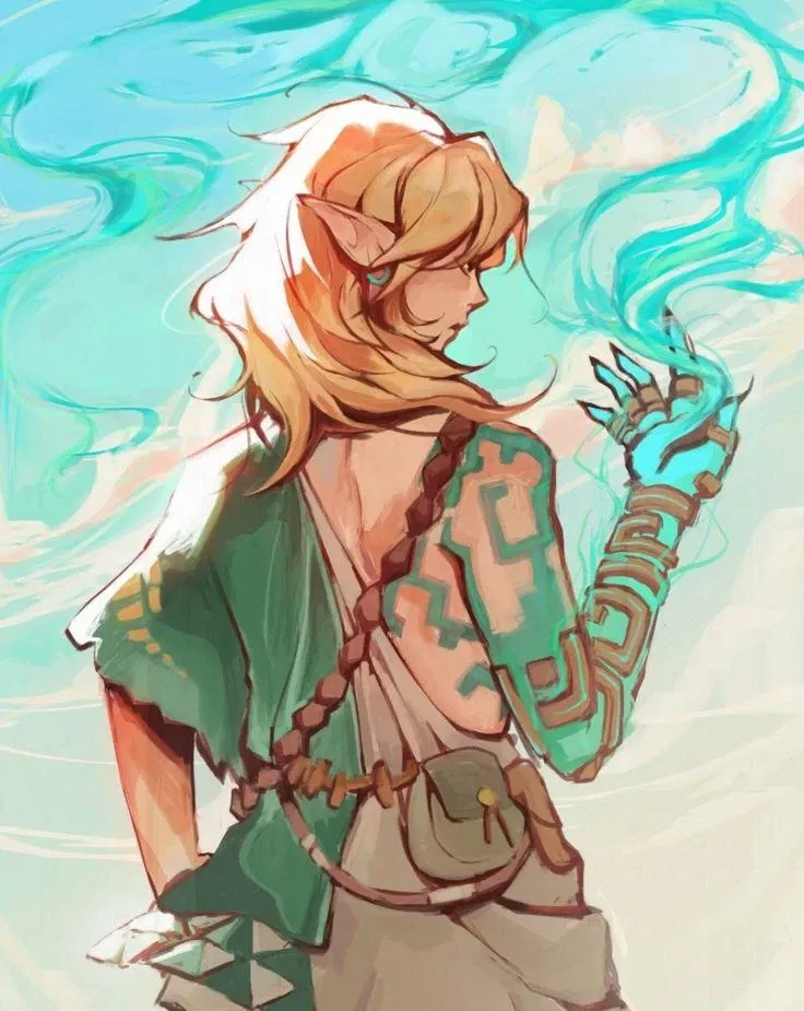 Avatar of Link (Wild Era)