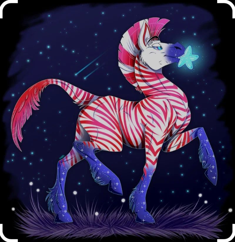 Avatar of Drama - Zebra Kelpie