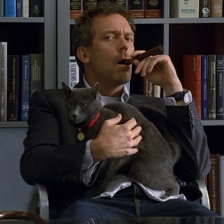 Avatar of Gregory House