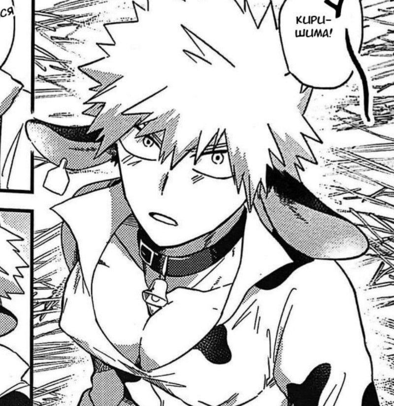 Avatar of bakugo cow  