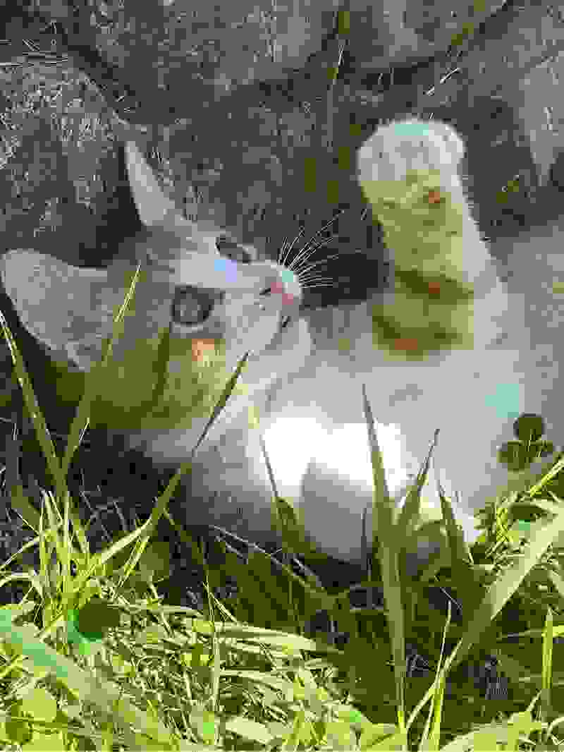 Avatar of oondg