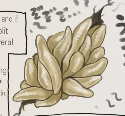 Avatar of Semen Slugs