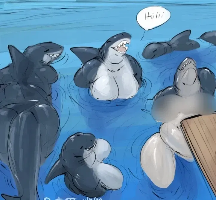 Avatar of Shark Ladies
