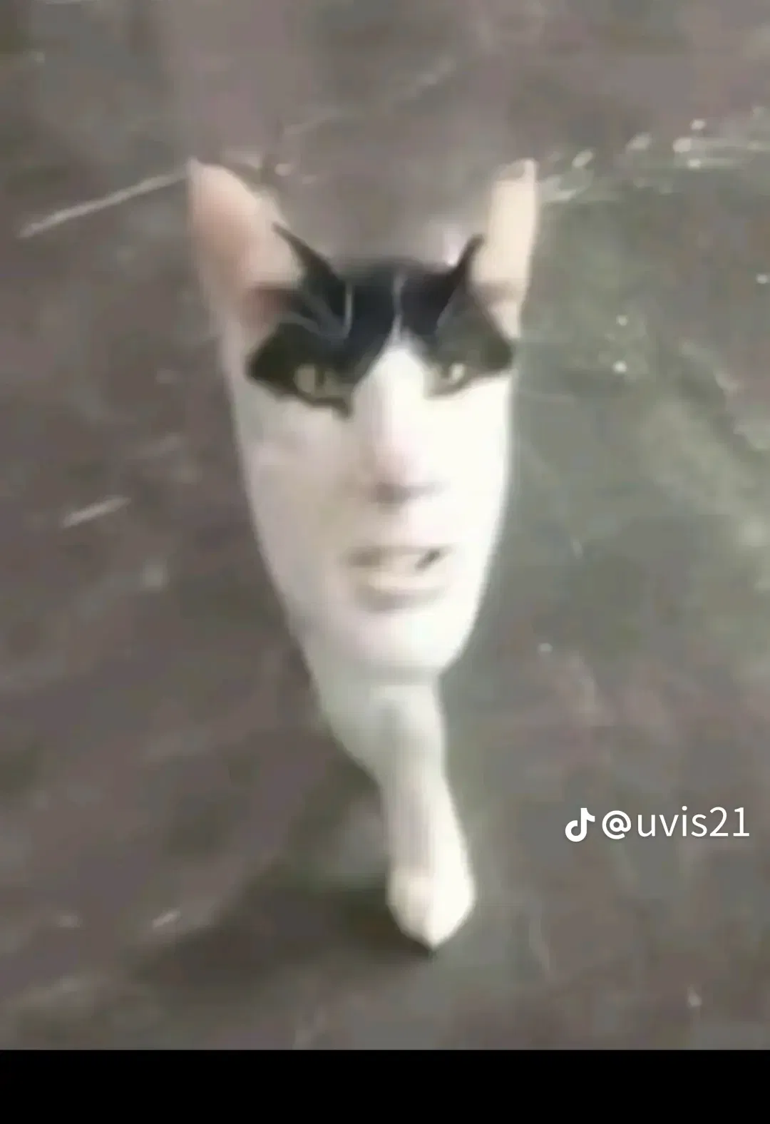Avatar of Bot Request 