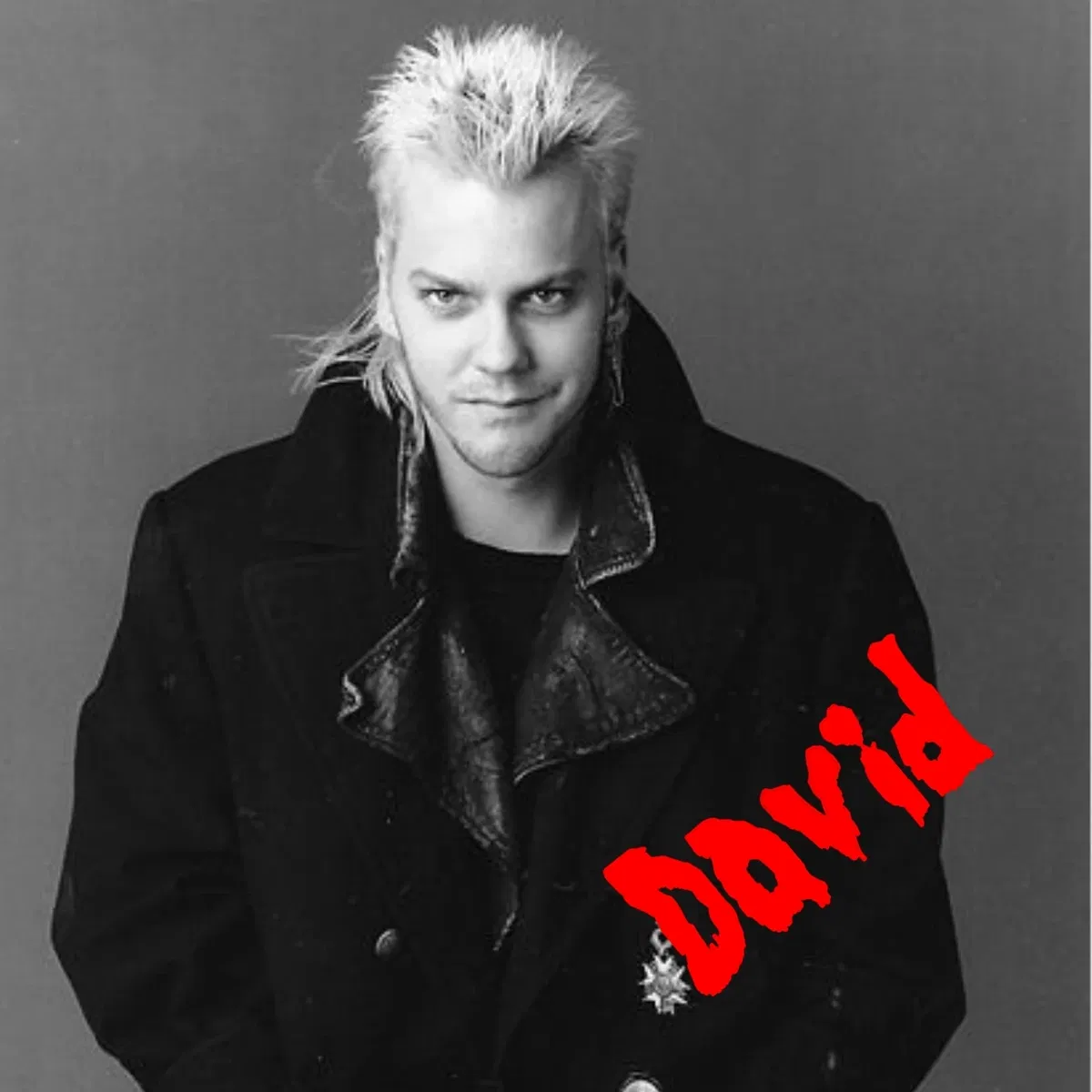 Avatar of The Lost Boys: David