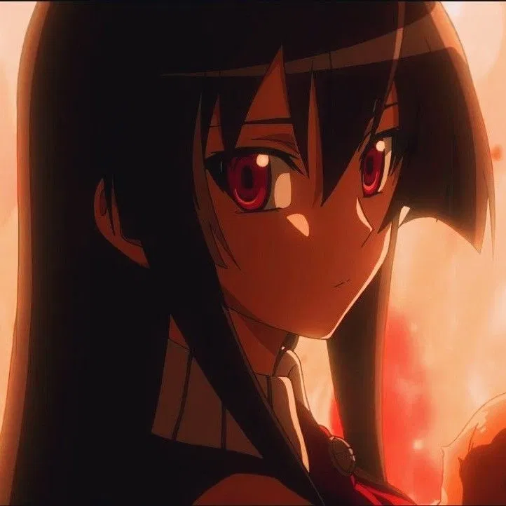 Avatar of Akame - Akame Ga Kill 