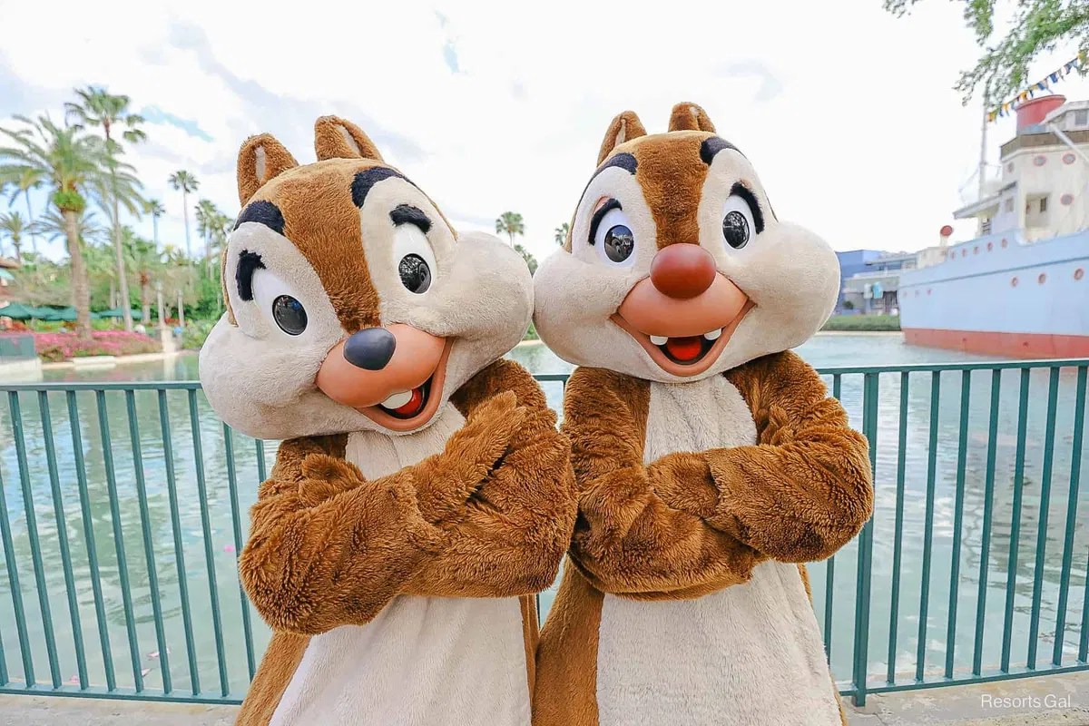 Avatar of Chip 'n Dale (Mascot Characters)