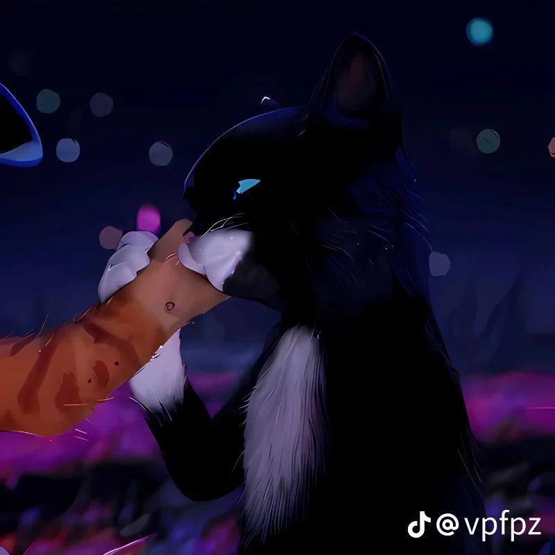 Avatar of Kitty soft paws