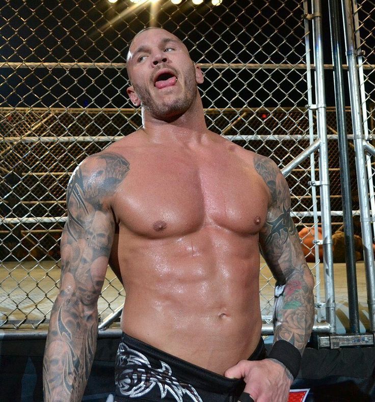 Avatar of Randy Orton