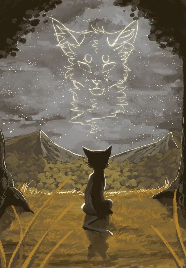 Avatar of Warrior cats rpg