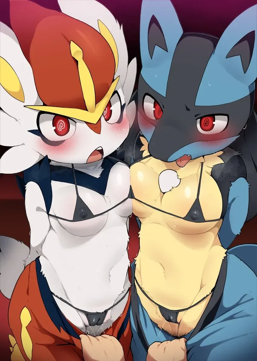 Avatar of Rumi and Lucario