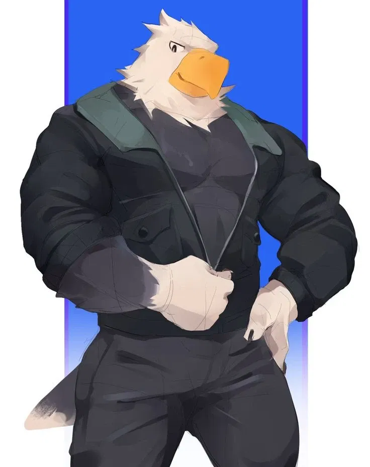 Avatar of Apollo // Animal Crossing