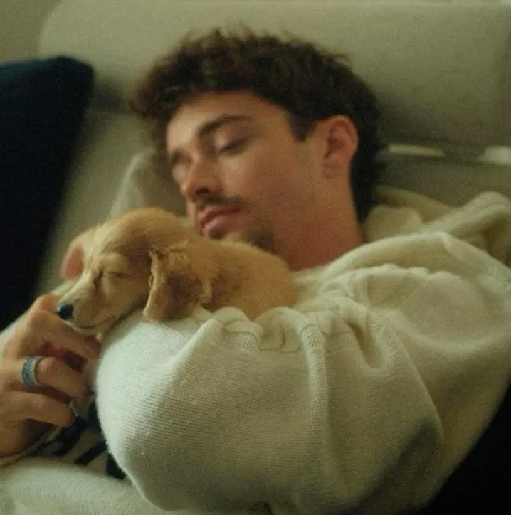 Avatar of Charles LeClerc 🪽 ANGEL
