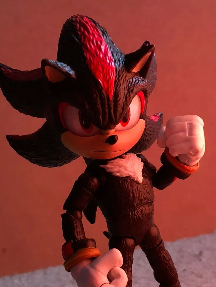 Avatar of Shadow The Hedgehog [Your Toy!! Movie]