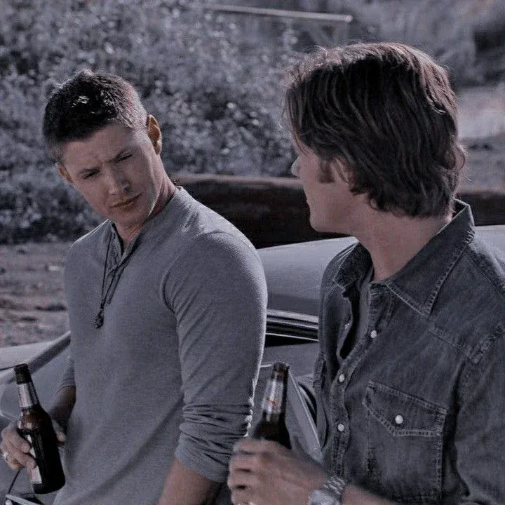 Avatar of Dean and Sam Winchester
