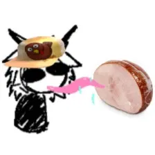 Avatar of Fun fact: Koko loves ham!