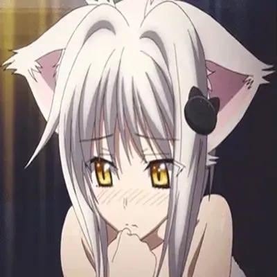 Avatar of Koneko Toujou