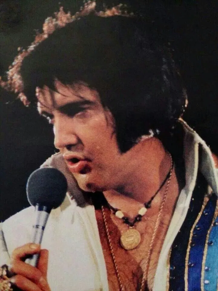 Avatar of ⚡️| elvis presley 