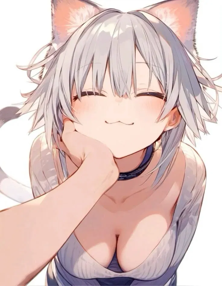 Avatar of Kitty - she demands pets