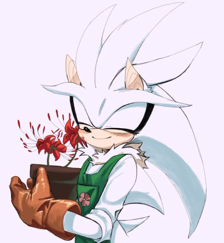 Avatar of Silver The Hedgehog