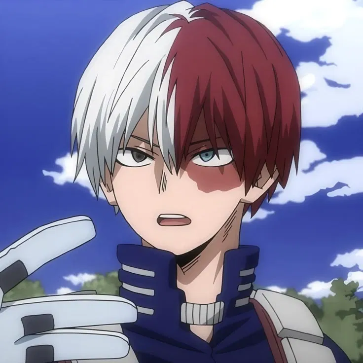 Avatar of Shoto todoroki
