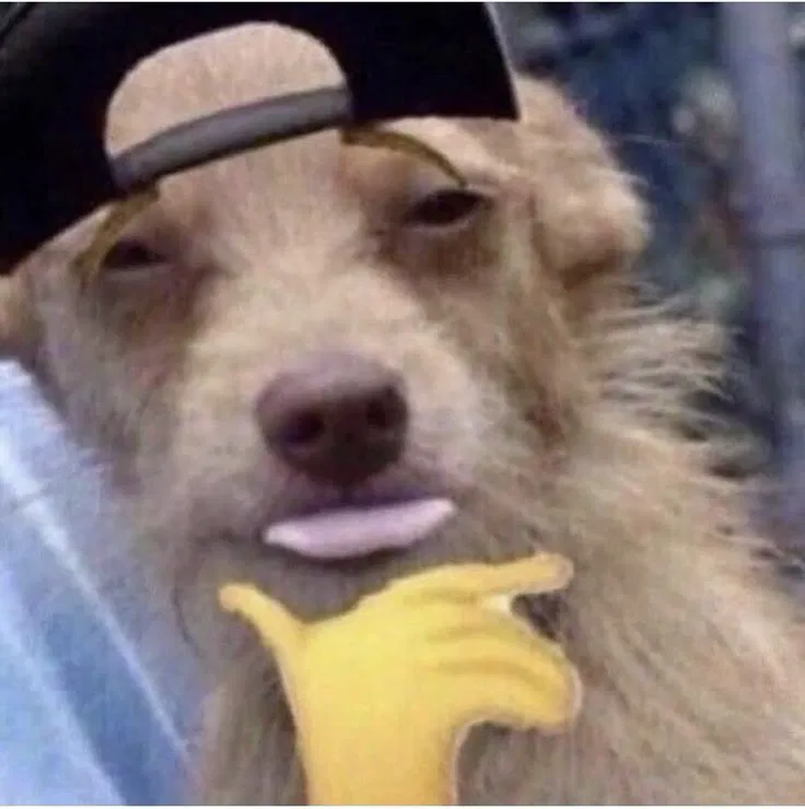 Avatar of CSS1