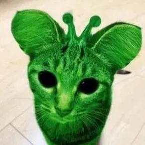 Avatar of Alien Cat