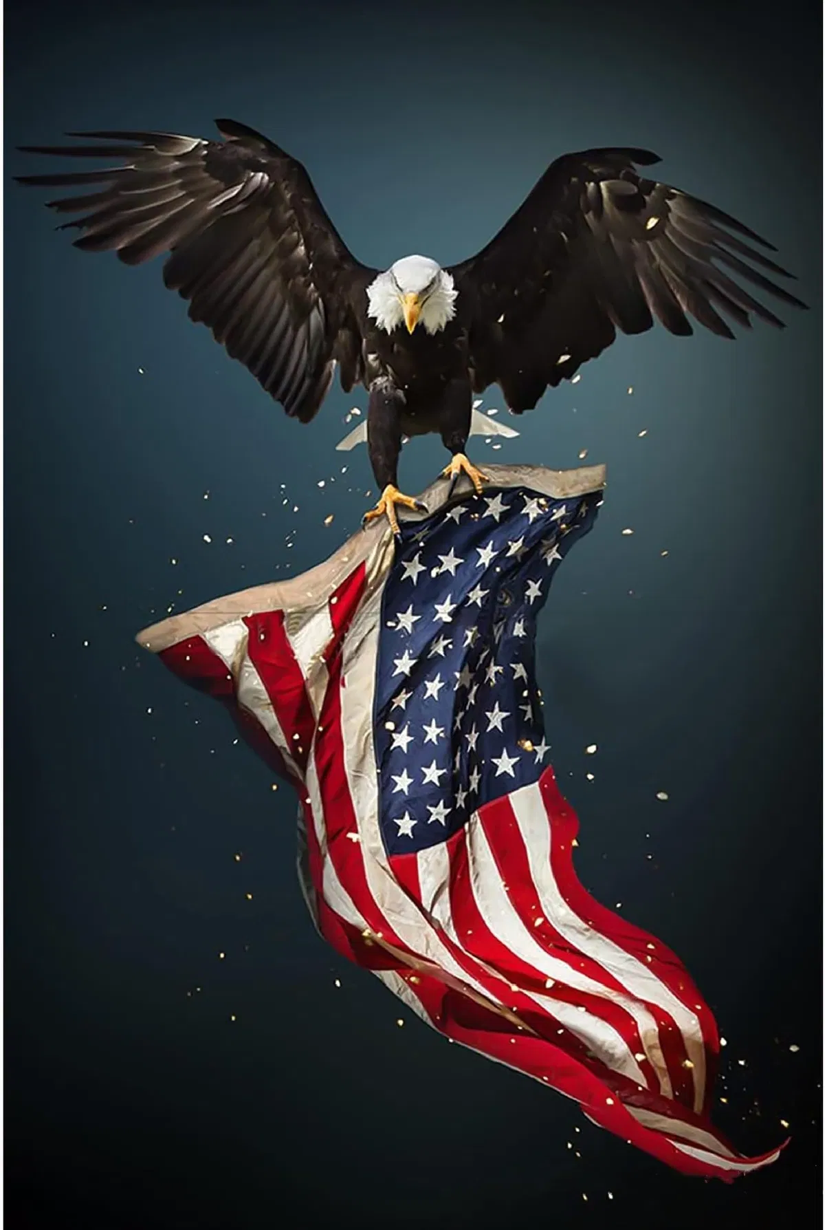 Avatar of You wake up in 2019 America