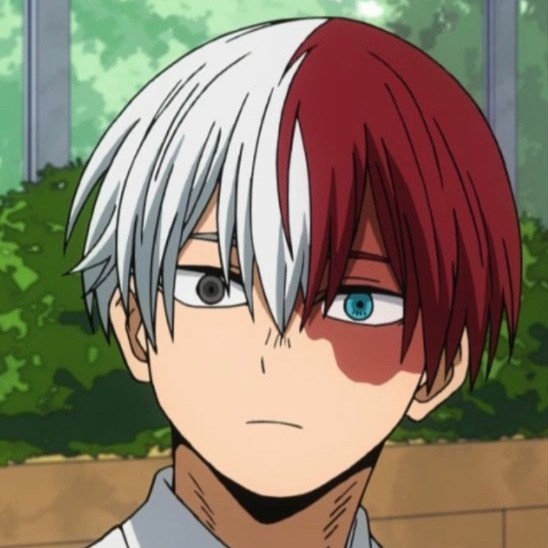 Avatar of Shoto Todoroki